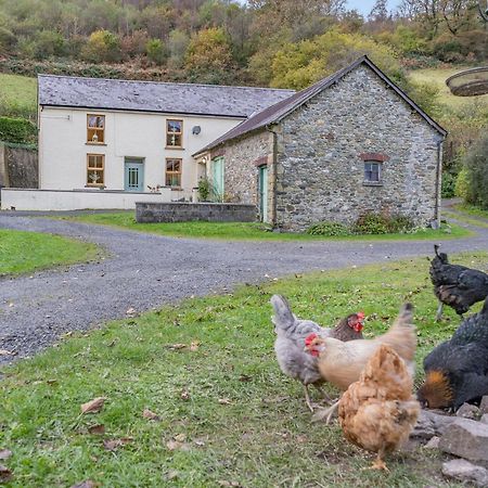 Pwll Farmhouse Llanllawdog Extérieur photo