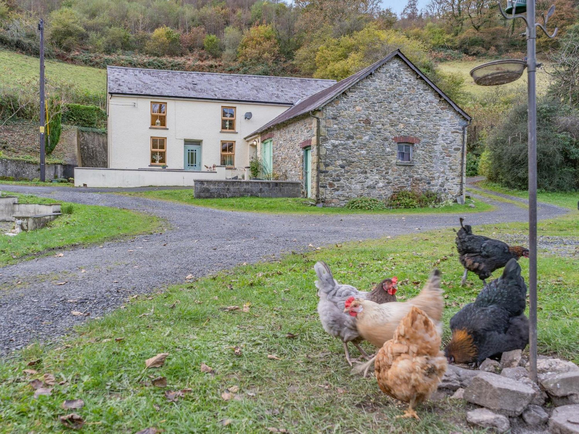 Pwll Farmhouse Llanllawdog Extérieur photo